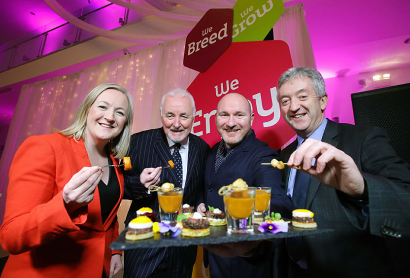 Northern Irelandâ€™s Visitor Satisfaction Ratings Soar