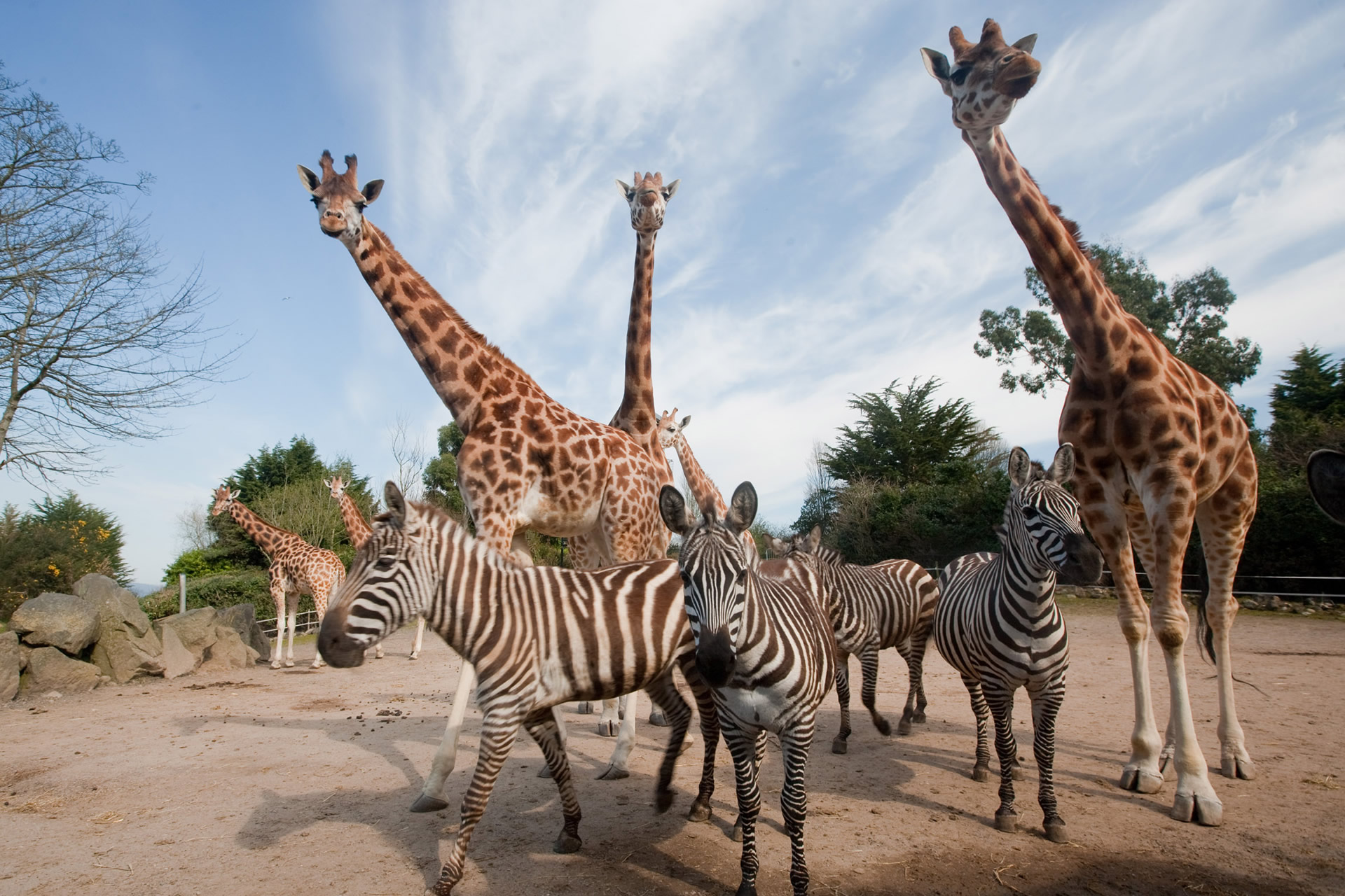 Belfast Zoo To Hold First Sensory Day!