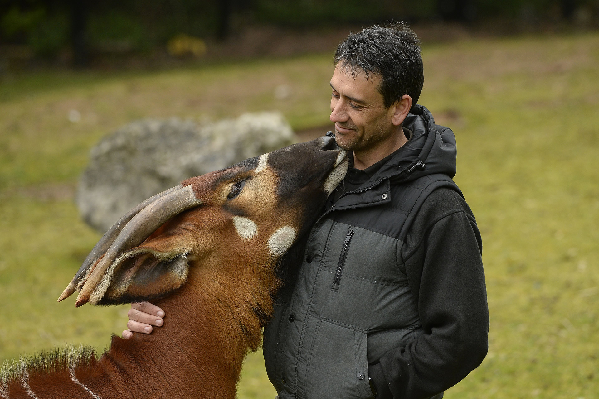 Baby Boom At Belfast Zoo This Easter